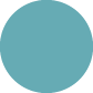 Cisc icon türkis