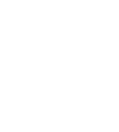 Cisc real time icon